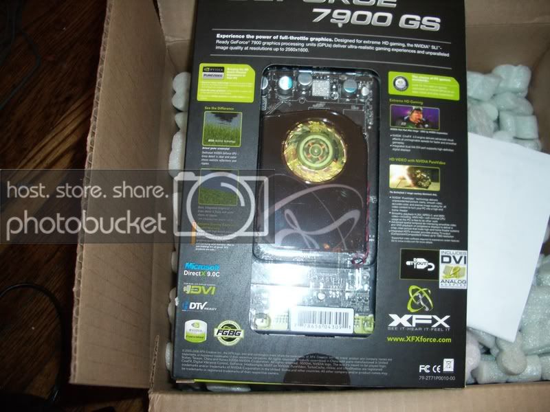 IMGP1156.jpg