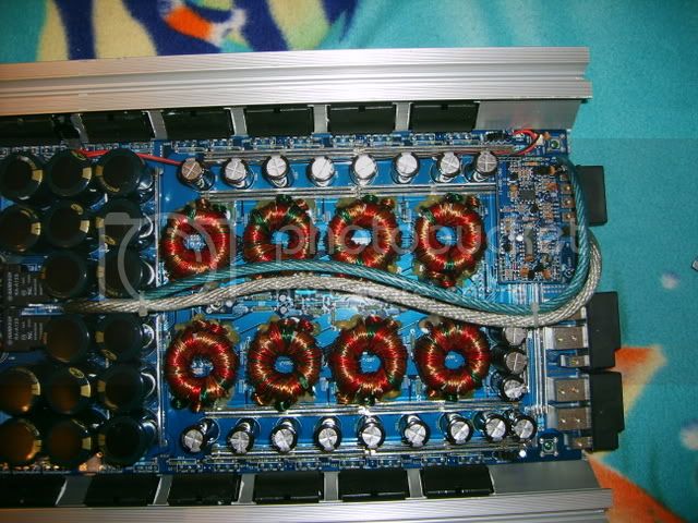 S5001130.jpg