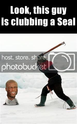 seal.jpg