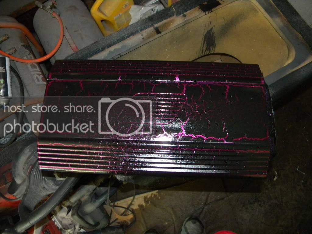 DSCN1317.jpg