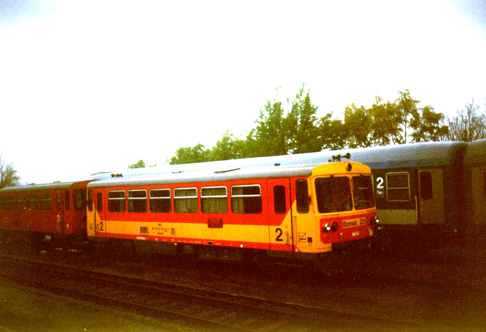 Bzmot-221.JPG