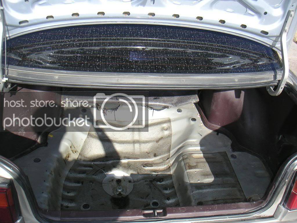 Trunk006a.jpg