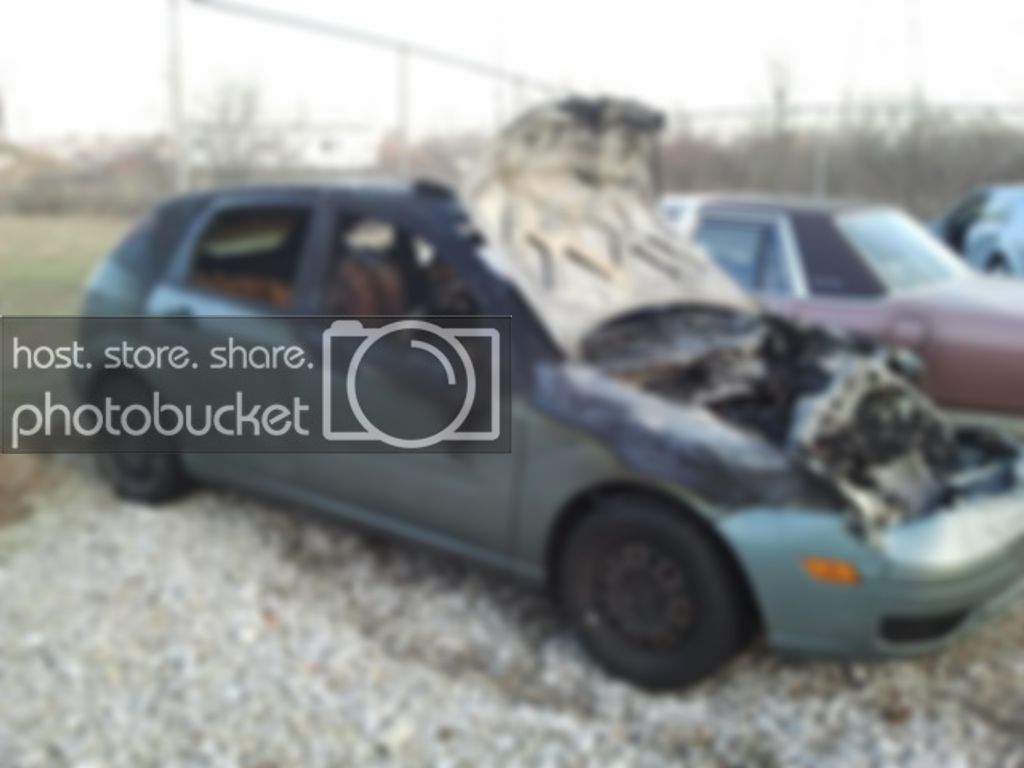 2012-01-31080954.jpg