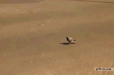 HsbAA.gif