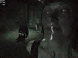 ThePoughkeepsieTapes.gif