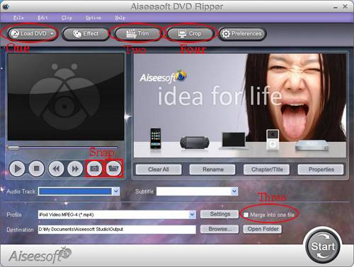 screen.jpg