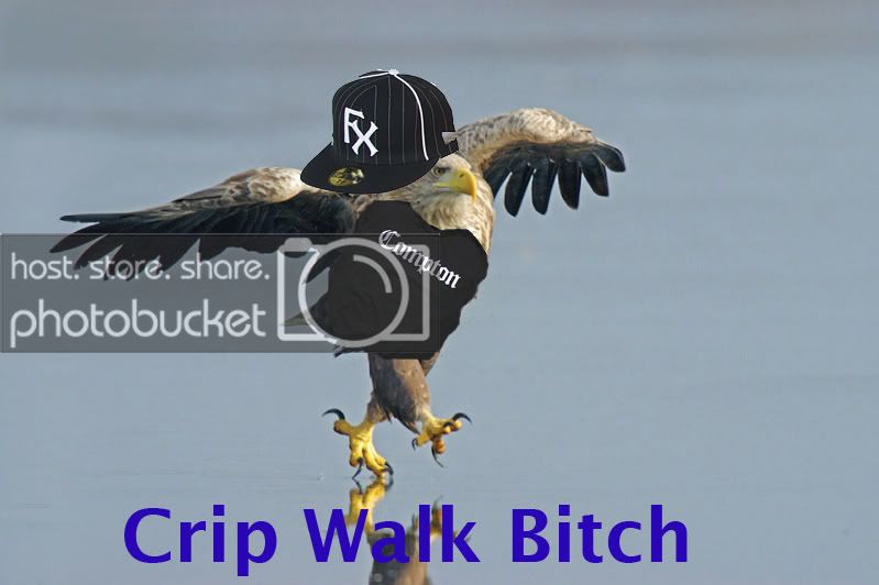 eagle.jpg