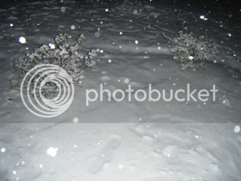 snow012.jpg