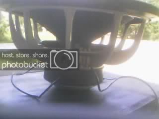 amp1.jpg