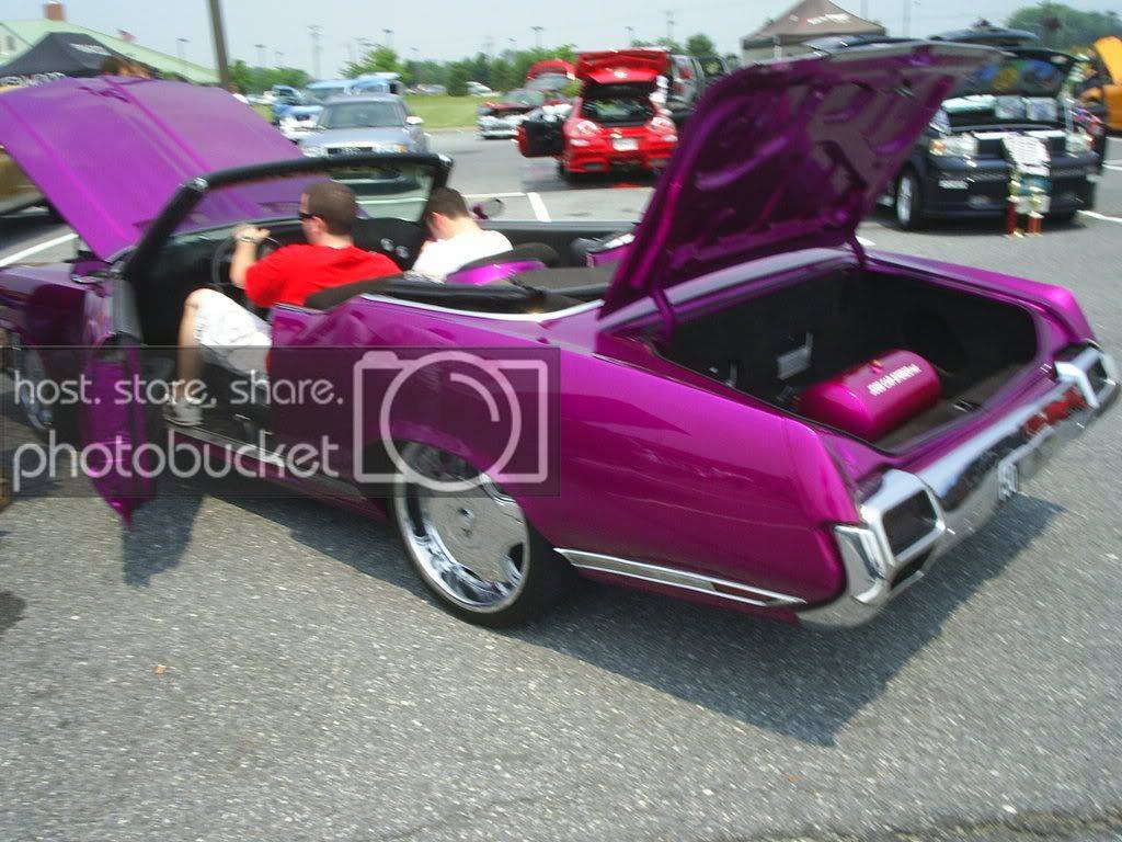 Picture248.jpg