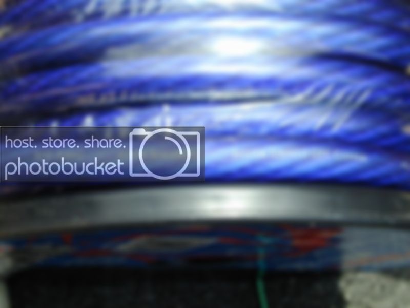 P1011826-1.jpg