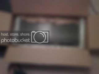 IMG00117.jpg