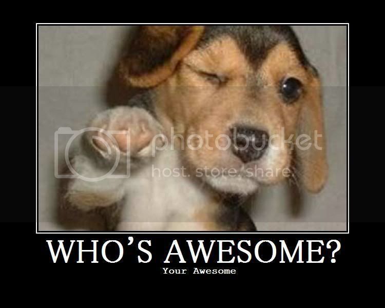 YourAwesome.jpg