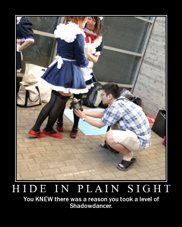 hide%20in%20plain%20sight.jpg