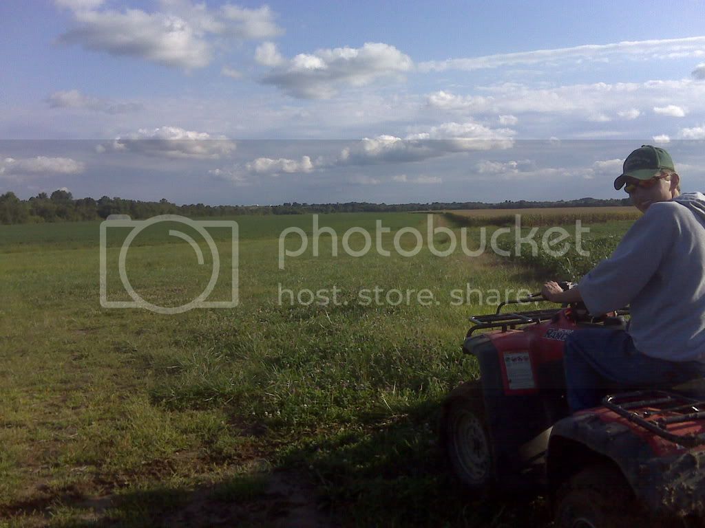 IMG00154.jpg