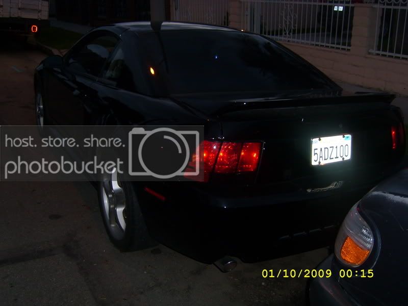SL270957.jpg