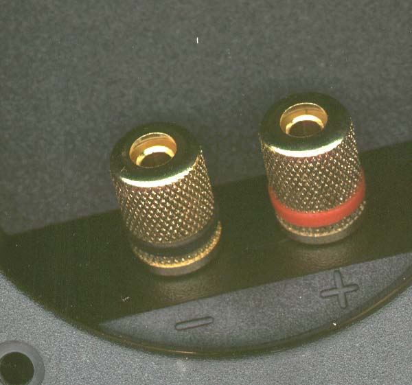 dcup01.jpg
