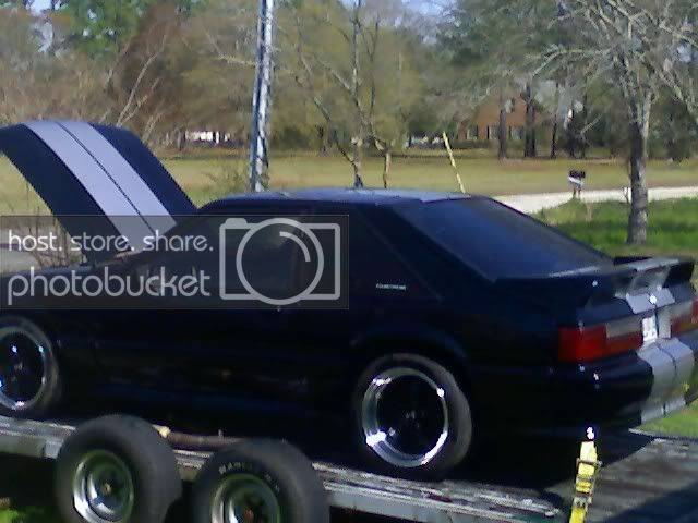 03-17-08_1127.jpg