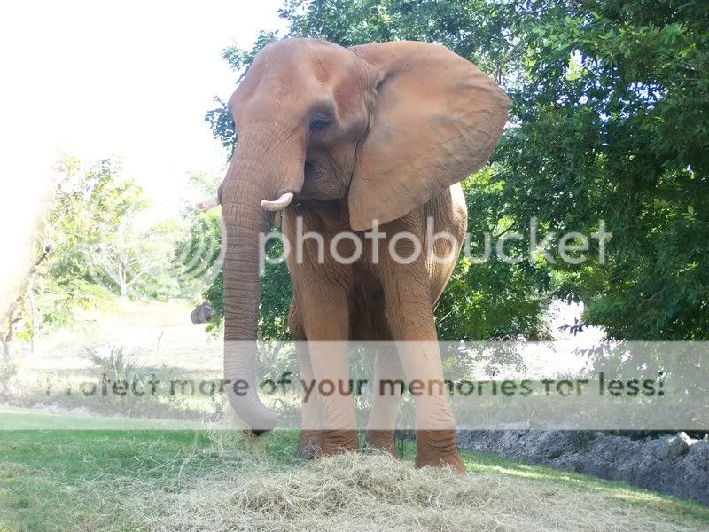 zoo034.jpg