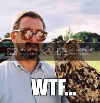 wtf.jpg