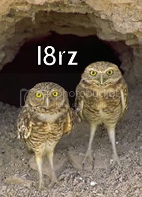 ltrz.jpg