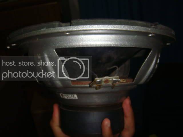DSC01978.jpg