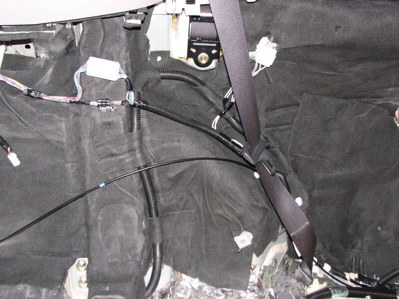 SciontC_rearcavity016.jpg
