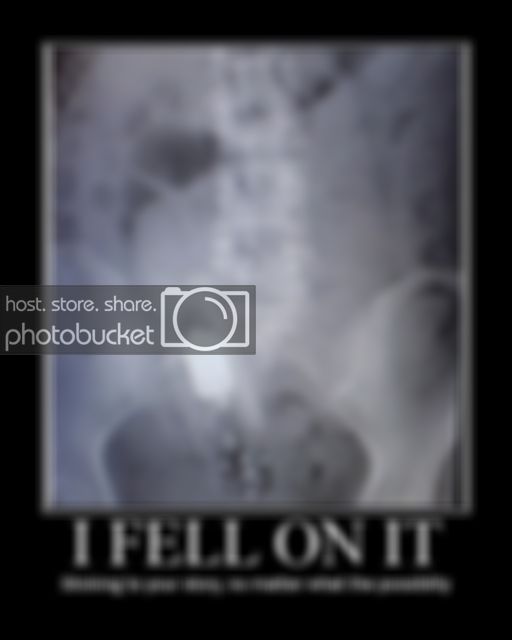 IFellOnIt.jpg