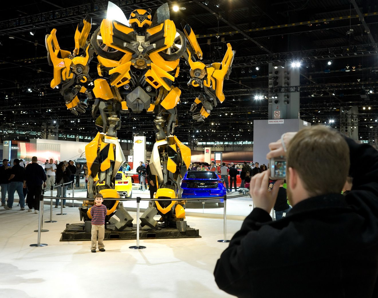 bumblebee-02.jpg
