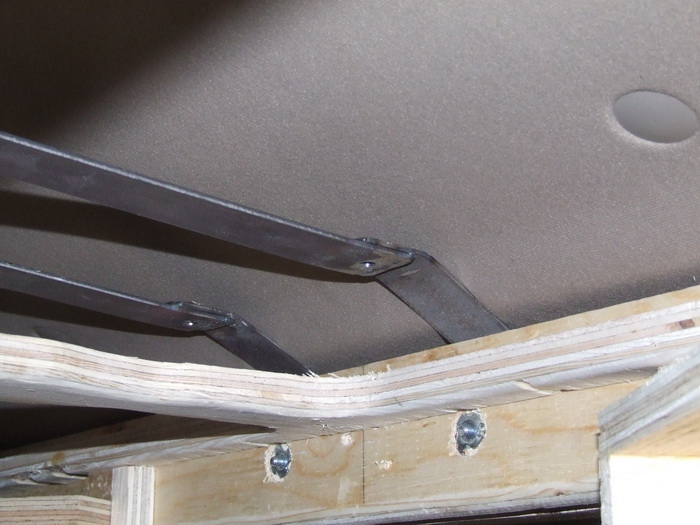 canopy7.jpg