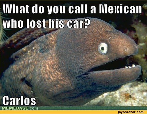 funny-pictures-auto-bad-joke-eel-mexican-470525.jpeg