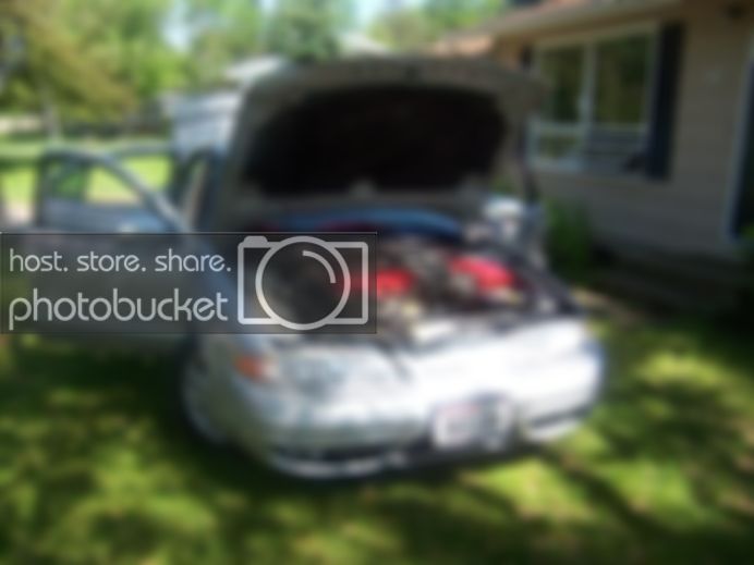 caryard004.jpg