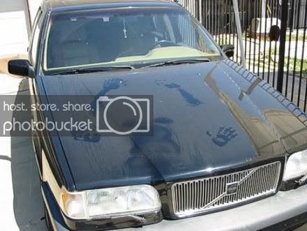 3217_1609_car-hood.jpg