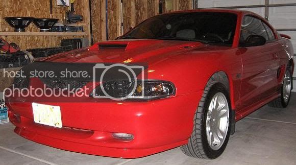MustangAvatar2.jpg