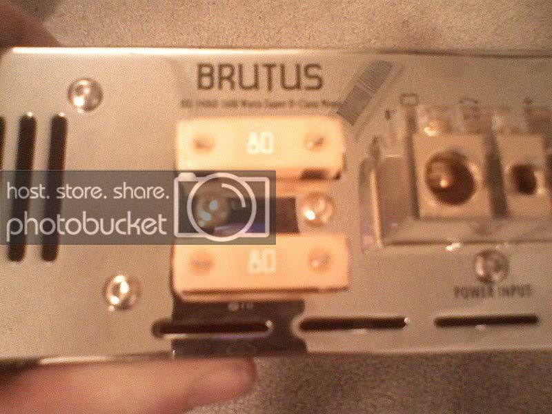 fuses.jpg