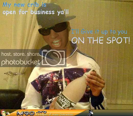 yospot.jpg