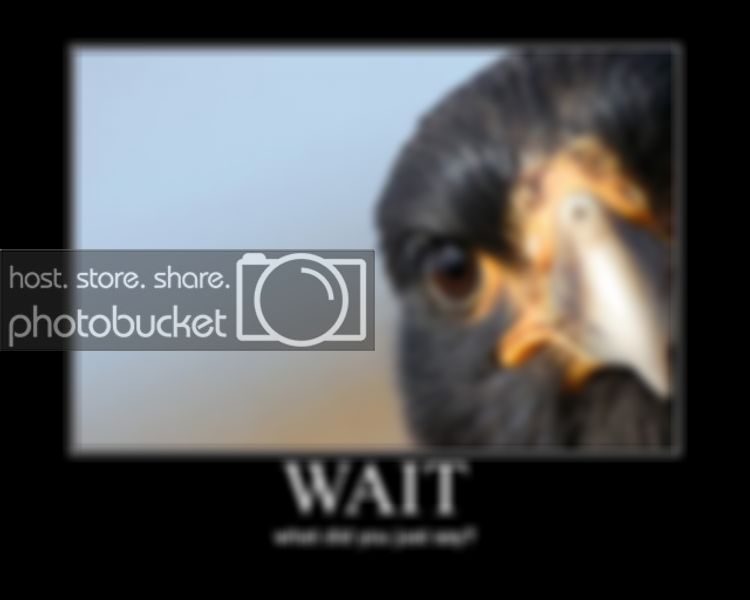 waitwhat.jpg