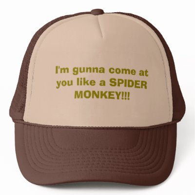 im_gunna_come_at_you_like_a_spider_monkey_hat-p148463552247329137q02g_400.jpg