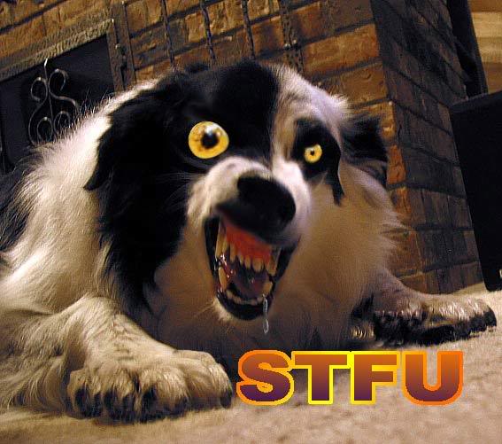 stfu5.jpg