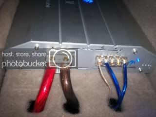 100_0041.jpg