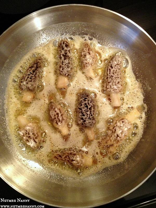 Morel-Mushrooms-30.jpg