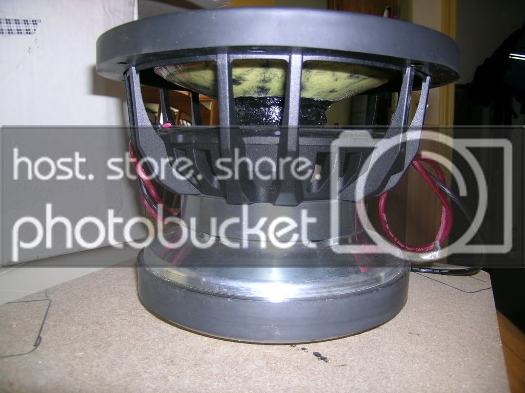 DSCN9565.jpg