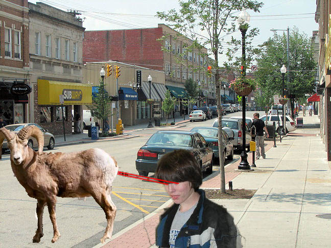 bmx-sheep.jpg