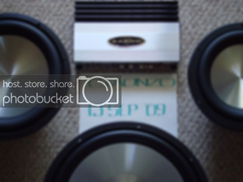 DSC03228.jpg