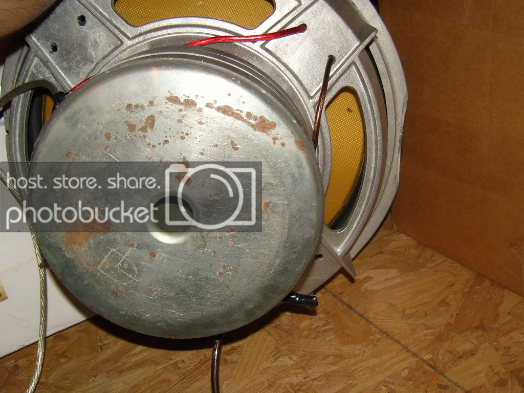 SNC12550.jpg