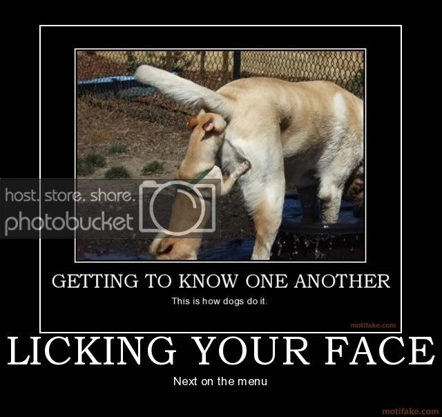 gettingtoknow.jpg