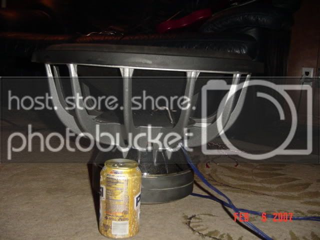 DSC00778.jpg