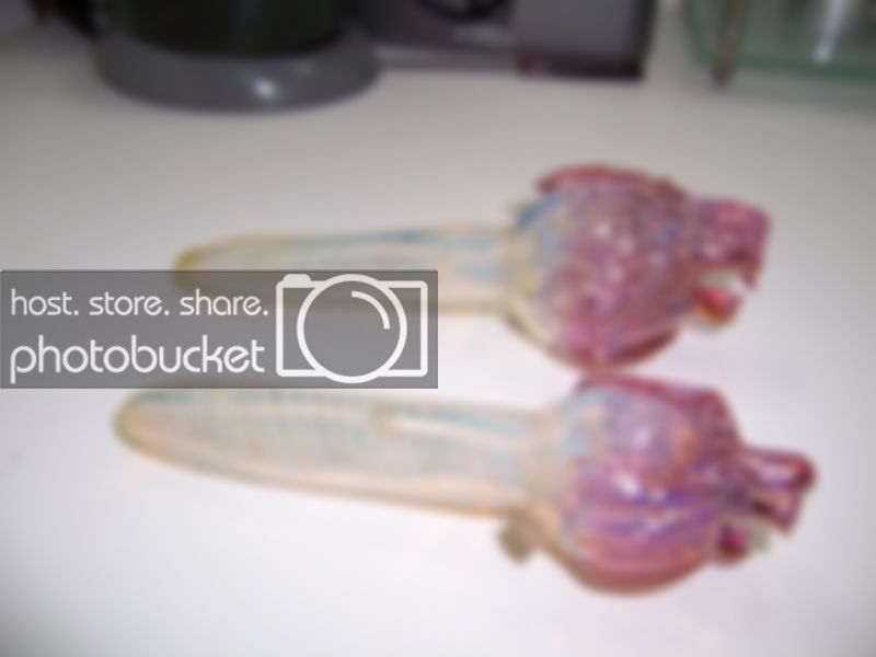 100_8545.jpg