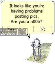 picnewbie.jpg