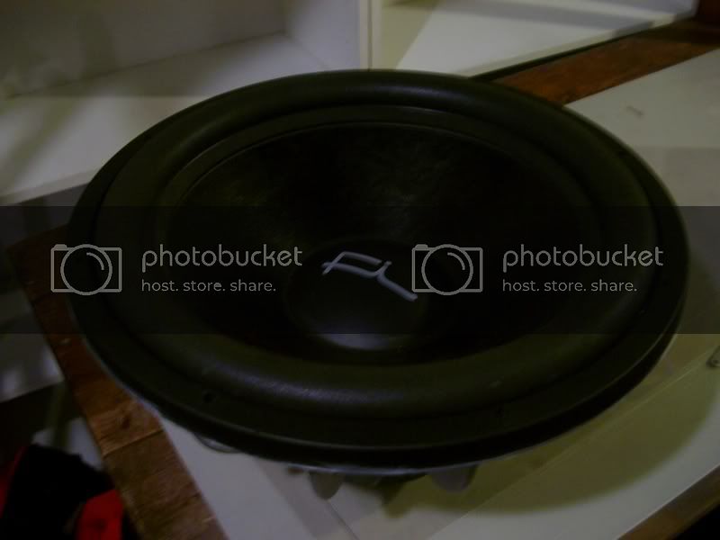 IMGP5377.jpg